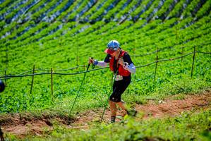 BIB: 
                            <button type="button" onclick="openModal(19163606)" class="btn btn-primary btn-sm float-right btn-popup" data-toggle="modal" data-target=".modal-high-quality">
                        <i class="fas fa-shopping-cart"></i> Add to Cart
                    </button>
                                            <button type="button" onclick="isThisMe(19163606, true)" class="btn btn-success btn-sm float-right btn-popup btn-isme hidden" data-toggle="tooltip" data-placement="bottom" title="นี่คือรูปของคุณใช่ไหม คลิกที่นี่เพื่อเอาเข้าอัลบั้ม">
                        <i class="fas fa-plus"></i> Add to album
                    </button>
                    <button type="button" onclick="isThisMe(19163606, false)" class="btn btn-warning btn-sm float-right btn-popup btn-isnotme hidden">
                        <i class="fas fa-ban"></i> Remove from album
                    </button>